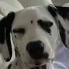 Lily Maddox - @lilyy_maddoxx - TikTok