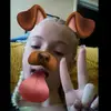 lilly.markham - @lillyjames_hi - TikTok