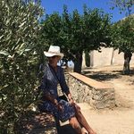 [Lily Martinelli] - @martinelli11lily - Instagram