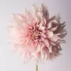 lilly.mast - @lilly.mast - TikTok