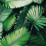 Lily Mathisen - @lily_mathisen2 - Instagram