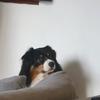 mathislily - @mathislily - TikTok