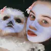 Lily McCabe - @imlilymccabe - TikTok