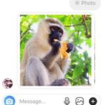 Lily Freeman Mccormack - @freemanlily7 - Instagram