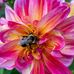 Lily Mott - Facebook