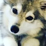 Lily Mott - @lily_4437 - Instagram