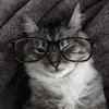 lily - @llily.murrayy - TikTok