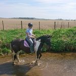 lily murray - @lily_murray_116 - Instagram