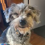 Lily Murray - Facebook