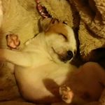 lily ann newcomb - @lilyannnewcomb - Instagram
