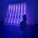 @lily.newmanart - Instagram