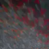 Lily Oneil - @lily.oneil15 - TikTok