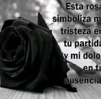 Lily Ortiz - Facebook