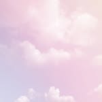 ♡ - @lily.plumerias - Instagram