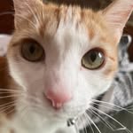 Lily plumb - @lily_plumb - Instagram
