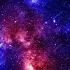 Xxpinapple_userxX - @lilyplum7 - TikTok