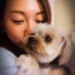 LilyPoon - @lilypoonlily - Instagram