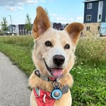 Lily Gindles-Purvis - @cobber4life - Instagram