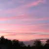 lilyrandolph - @lilyrandolph - TikTok