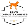 Lily Rawson - @lilyscompletecanines - TikTok