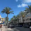 Lily reeves - @lilyreeves.xx - TikTok