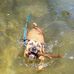 Lily Kontham - Facebook