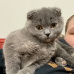 Lily Roach - @lily_the_kitty21 - Instagram