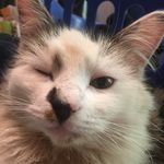 Lily Roach - @animeusweebus1 - Instagram