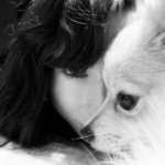 lily robbins - @lily_robbins_dogs - Instagram