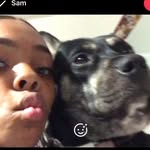 🐶Lily🐶 - @lilys_a_baddie_purr - Instagram