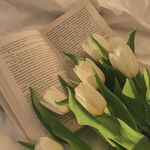 ♡فآطـمـهہ - @lily_sapphire1 - Instagram