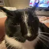Lily Sappington - @lilysappington - TikTok