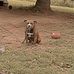 Lilly Schultz - Facebook
