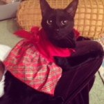 Lily Bug Silverman - @its_me_lilybaby - Instagram