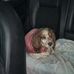 Lily Skinner - Facebook
