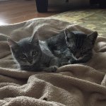 olive and lily skinner - @olive.lily.skinner - Instagram