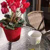 LilySmiley411 - @lilysmiley411 - TikTok