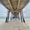 lily - @lilyysong - TikTok
