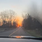 Lily Steele - @lily_steelephotography - Instagram
