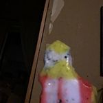 Lily Stover - @lily_stover12 - Instagram