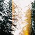 Kota Sandra Lily Stratton - Facebook