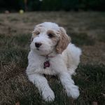 lillian - @lilystratton02 - Instagram