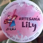 Lily Tapia - @ceramicaslilyprovidencia - Instagram