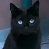 Lily Tapia - @lilytapia08 - TikTok