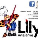 Lily Tapia - @ceramicas.lily - Instagram
