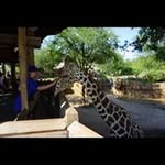 Lilly Templeton - @lilly_m_templeton - Instagram