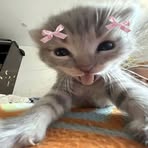 Lily Terrell - Facebook