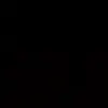 Xd - @lilyyyterrell._ - TikTok