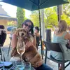 Lily.thompsonn - @lily.thompson_ - TikTok