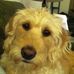 Lily Tobin - Facebook